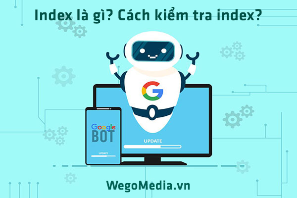 Index là gì? Cách kiểm tra bài viết đã được index chưa - Webdemo.vn