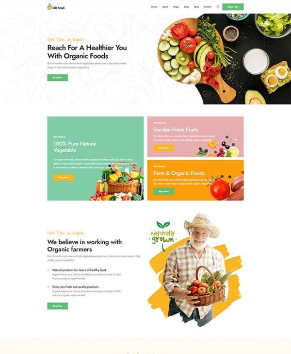 Thiet ke website mon an healthy 2